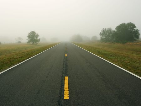 straight ahead - trees, fog, road, morning, free, ahead, mist, drive, way