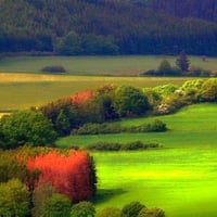 Colors of Nature