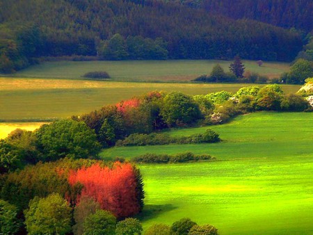 Colors of Nature - picture, cool, colors of nature