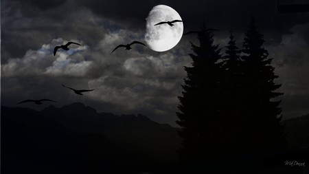 Mountain Nights - moon, sky, trees, dark, mountains, firefox persona, widescreen, birds