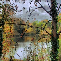 	Autumn day in Lydiard Park Wilts