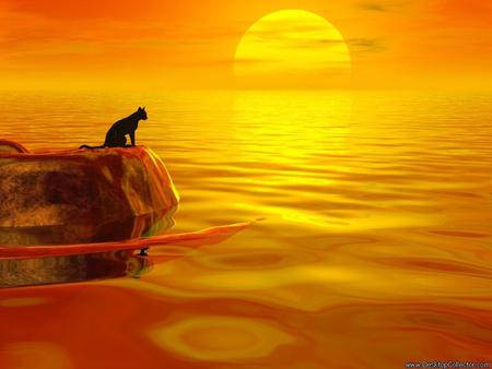 Sun - sky, water, cat, sunrise, abstract