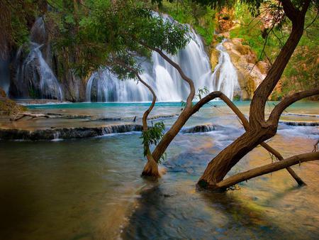 Waterfall - nature, trees, waterfall