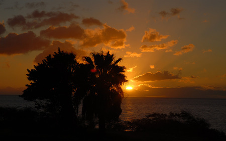 Amazing Sunset Image - palm trees, ocean, clouds, beautiful, skies, tropical, sunset, sunrise