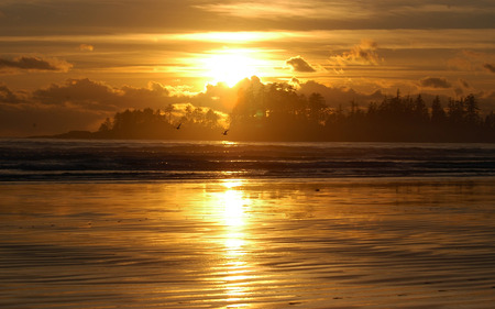 Big Sun - beach, ocean, sun, skies, sunset, sunrise