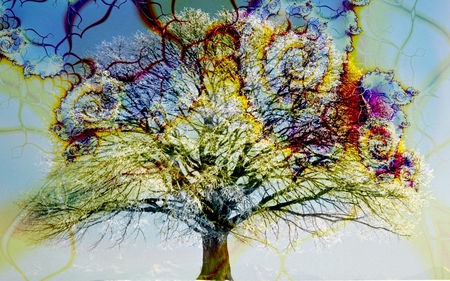 In Perpetual Dream - color, tree, fractal