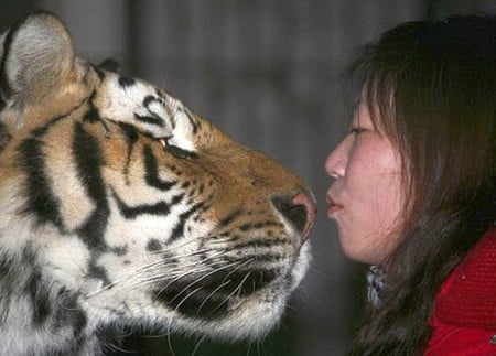 I Love You - i love you, picture, cool, tiger w lady