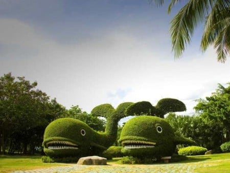 Whales in Garden - whales in garden, picture, cool