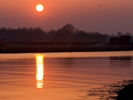 Seaside Sunset - water, sunset, trees, sea