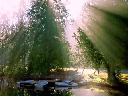 Relax On The Lake - nature, lake, trees, forest, sunrays, sunny