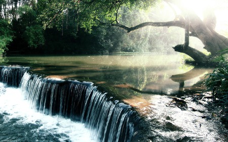 Waterfalls In the Forest - nature, waterfalls