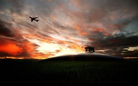 Sunrise Burning Sky - sunsets, nature, sky, new zealand