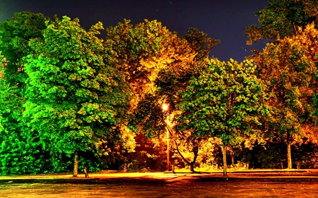 Light Bright My Way - forest, glow, pavement, light, trees, lamp post