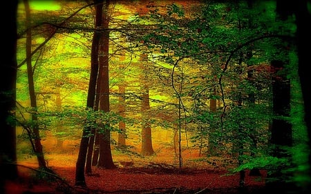 Nature By Itself - forest, glow, ray, light, leaves, trees, nature, colorful