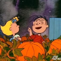 linus, sally in pumpkin patch