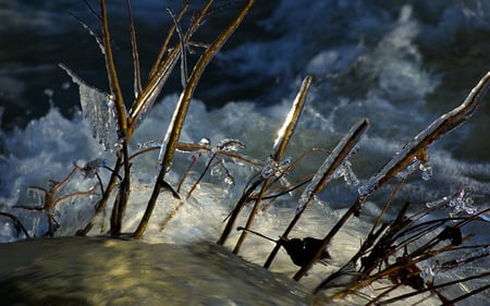 Cold River - nature, ice, cold, river