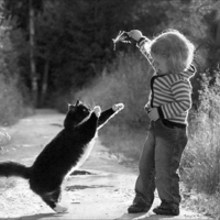 Cool Cat