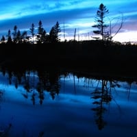 Blue Bog