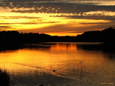 Maynard Lake Sunset - danieltowsey, maynard lake sunset