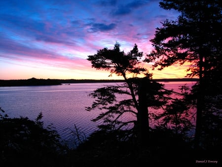 Forest Dawn - danieltowsey, folk photographer, forest dawn