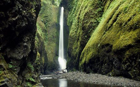 Oneonta Gorge Falls Oregon  - nature, waterfalls