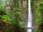 Multnomah Falls Oregon