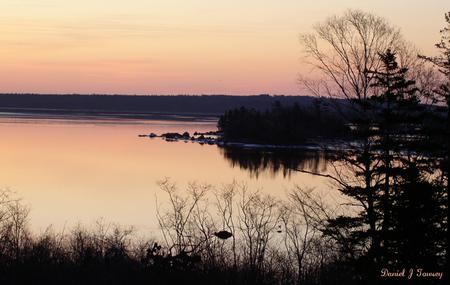 Pink Dawn - pink dawn, danieltowsey