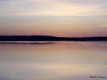 Pink Ice - pink ice, danieltowsey