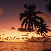 Island Sunset Fiji