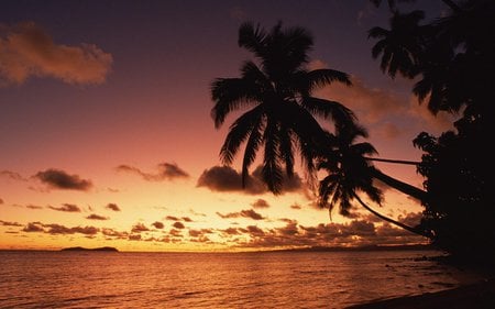 Island Sunset Fiji - palm trees, island, skies, fiji, sunset, sunrise