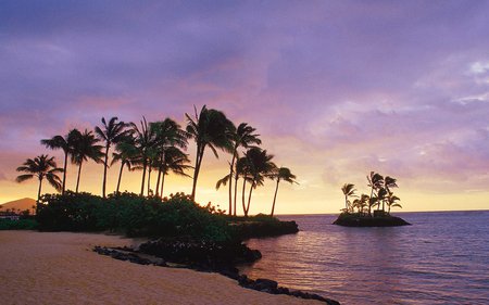 Waialae Beach Park Oahu Hawaii - beach, palm trees, paradise, palms, tropical, nature, windy, purple, yellow, beautiful, skies