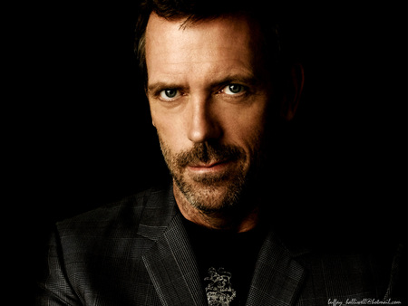 Md House - hugh laurie, dr, gregory, english, hugh, md, laurie, british, house