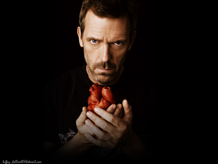 Md House - hugh laurie, dr, hugh, british, house, laurie, md, english, gregory