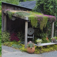 The Swamp Demo Greenroof