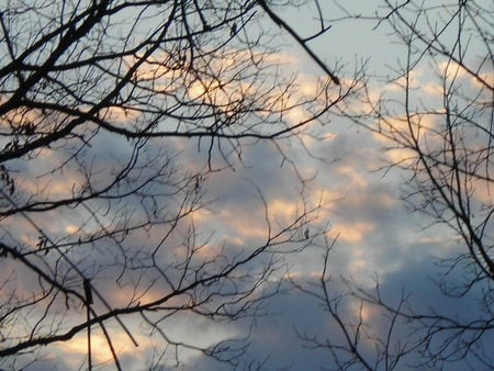 silver lining - clouds, morning sky