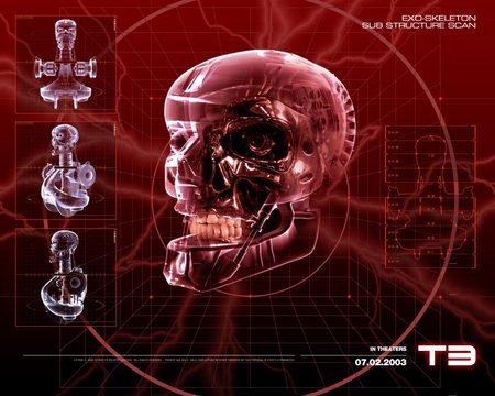 Terminator 3 Rebellion der Maschinen - the terminator, sci fi, robot, arnold schwarzenegger