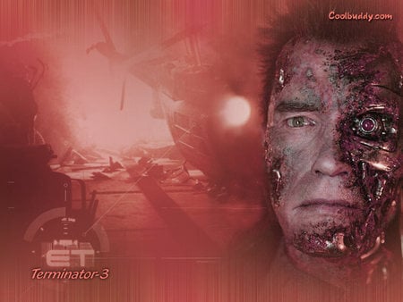 Terminator 3 Rebellion der Maschinen - the terminator, sci fi, robot, arnold schwarzenegger