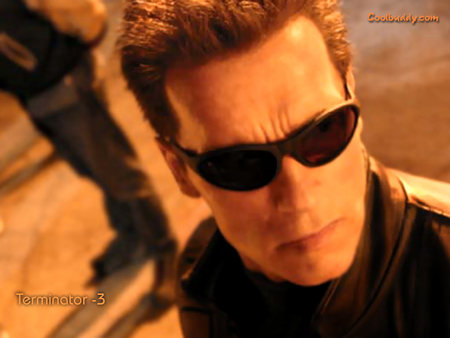 Terminator 3 Rebellion der Maschinen - the terminator, sci fi, arnold schwarzenegger, sunglasses