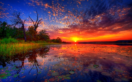 Lake Of Lotus2 - clouds, colorful, lotus, trees, sunset, lake, reflection, leaves