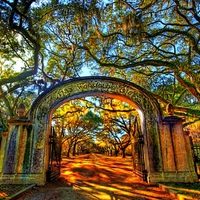 Gate To Your Golden World