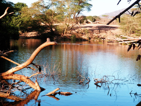 A short break - lake, trees, birds