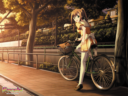 anime girl - girl, pretty, beautifull, anime, afternoon, bicycle, cute