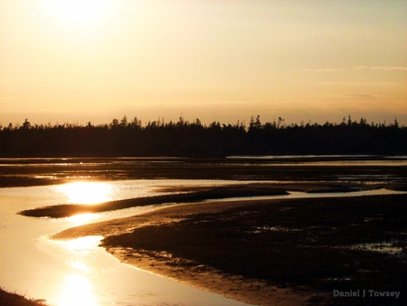 Low Tide Salt Marhes - low tide salt marhes, danieltowsey