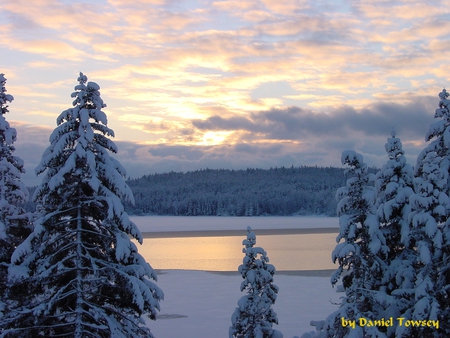 Winter Wonderland - winter wonderland, danieltowsey