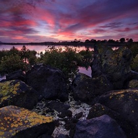 Rocky Sunrise, Sunrise at Otuataua Stonefields, Auckland, New Zealand