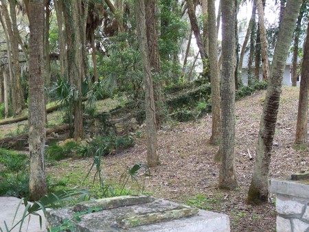 ~Ancient Indian Temple Mound~Oelsner Mound~Port Richey, Florida~ - trees, foilage, beautiful, indian, steps, stones, photograph, florida, nature, ancient, palm trees, temple, mound, burial grounds