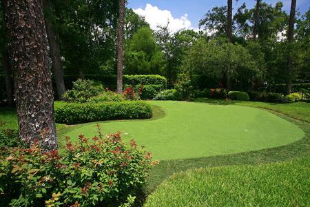 Putting Green - sky, trees, putting green, abstract