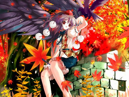 aya shimeimaru - girls, autumn, leaf, sunset, touhou, pretty, aya shimeimaru, anime, aya