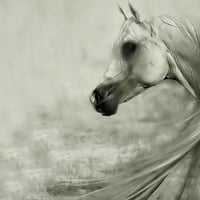 White Horse