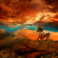 Fantasy Horse